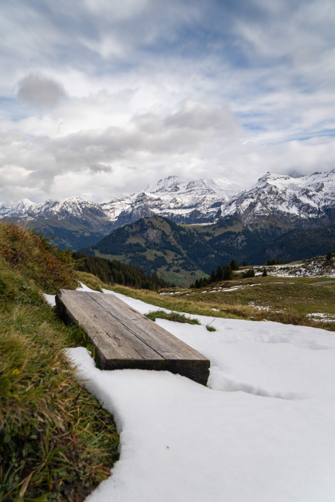 Landschaft