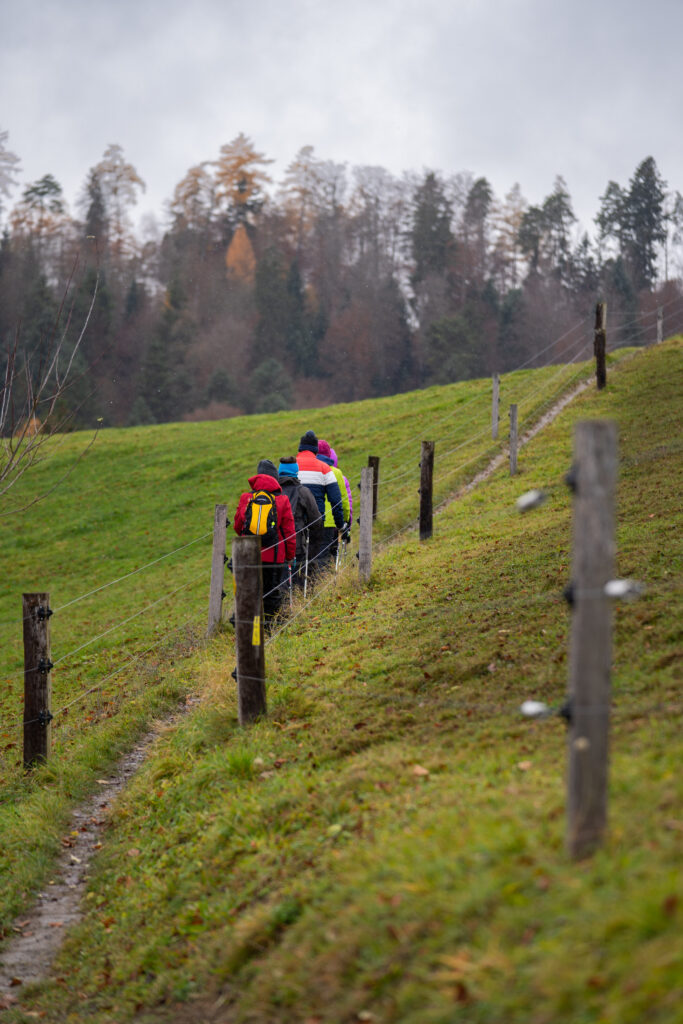 Referenzfoto Kurs Nordic Walking