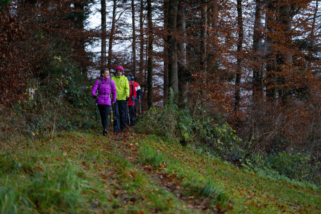 Referenzfoto Kurs Nordic Walking