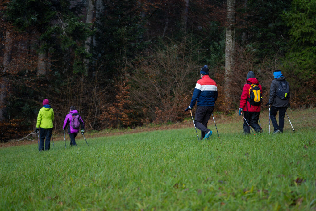 Referenzfoto Kurs Nordic Walking