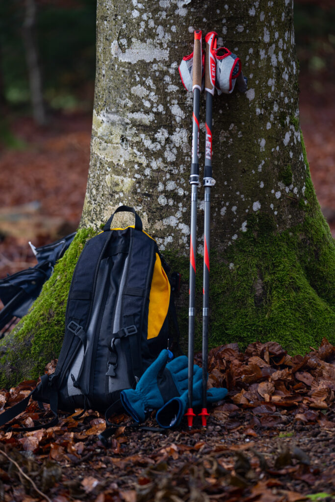 Referenzfoto Kurs Nordic Walking