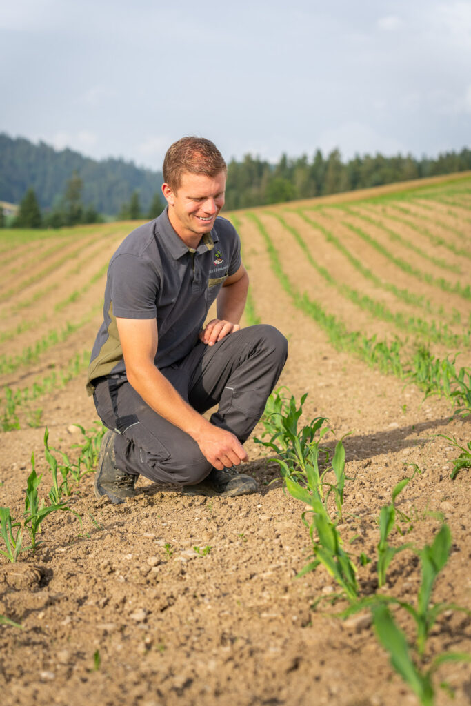 professionelles Outdoor Fotoshooting mit Patrik im Maisfeld